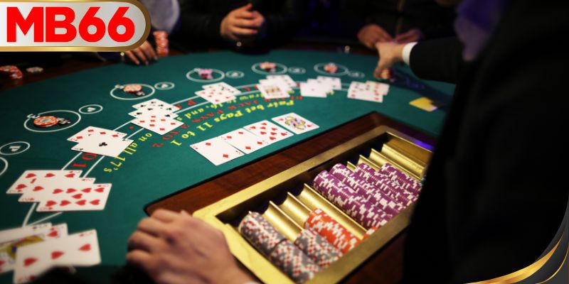 คู่มือที่เข้าใจง่ายเพื่อเริ่มต้นทันที